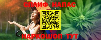 сатива Славгород