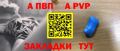 сатива Славгород
