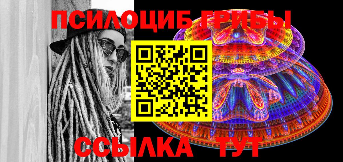 Псилоцибиновые грибы мицелий Обнинск